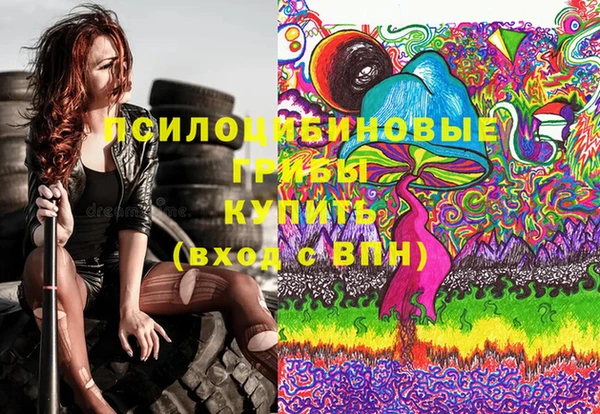 крисы Балахна